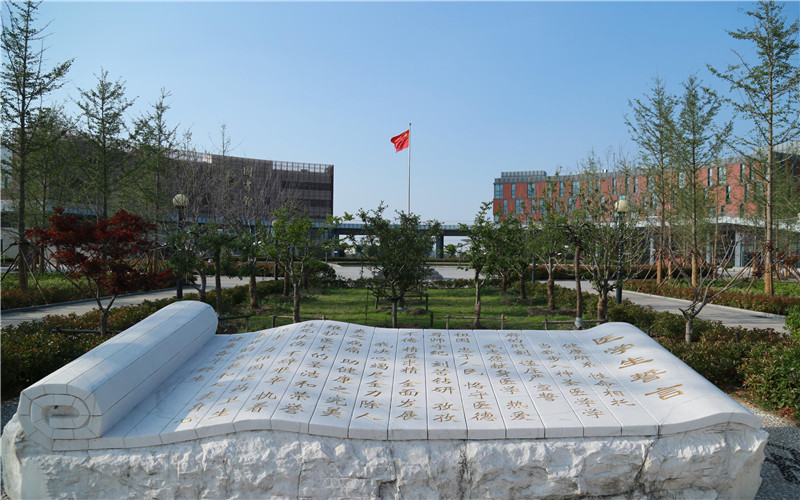 上海200余场游园灯会迎新年，警方启动高等级勤务：热门景点动态疏导客流，加强对《繁花》打卡点秩序维护